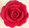 Rosen7